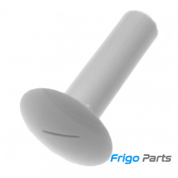 Champignons de fixation